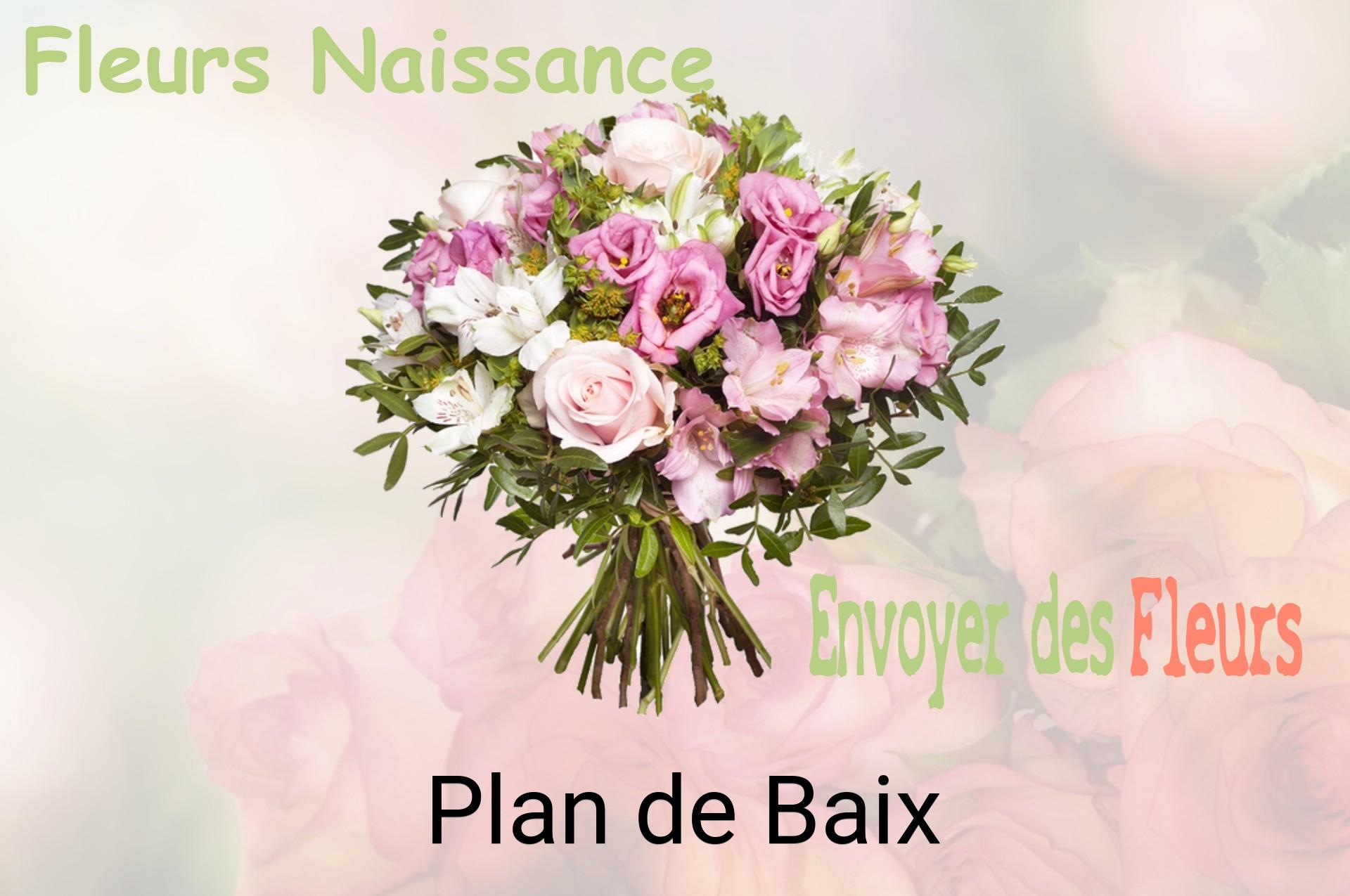 Bouquet de fleurs de naissance livré à Plan-de-Baix