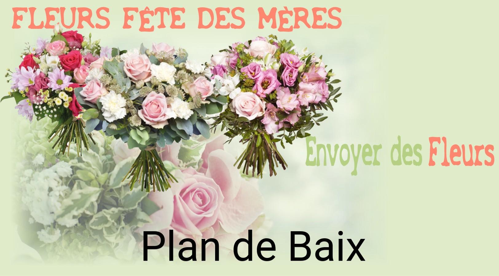 Bouquet de Fête des Mères livré à Plan-de-Baix